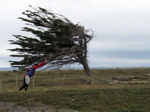 Harde wind
